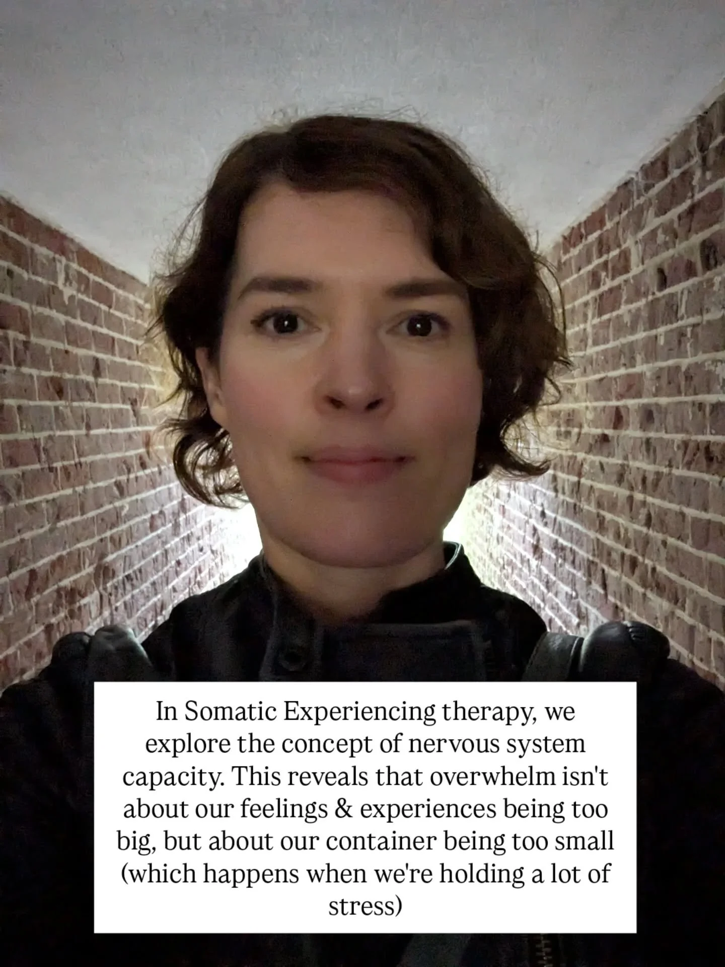 Have you ever noticed how your ability to handle life's hard things varies from day to day? This fluctuation is normal. But we also have a baseline nervous system capacity.

Think of it like a container that has both a foundation size (your baseline 