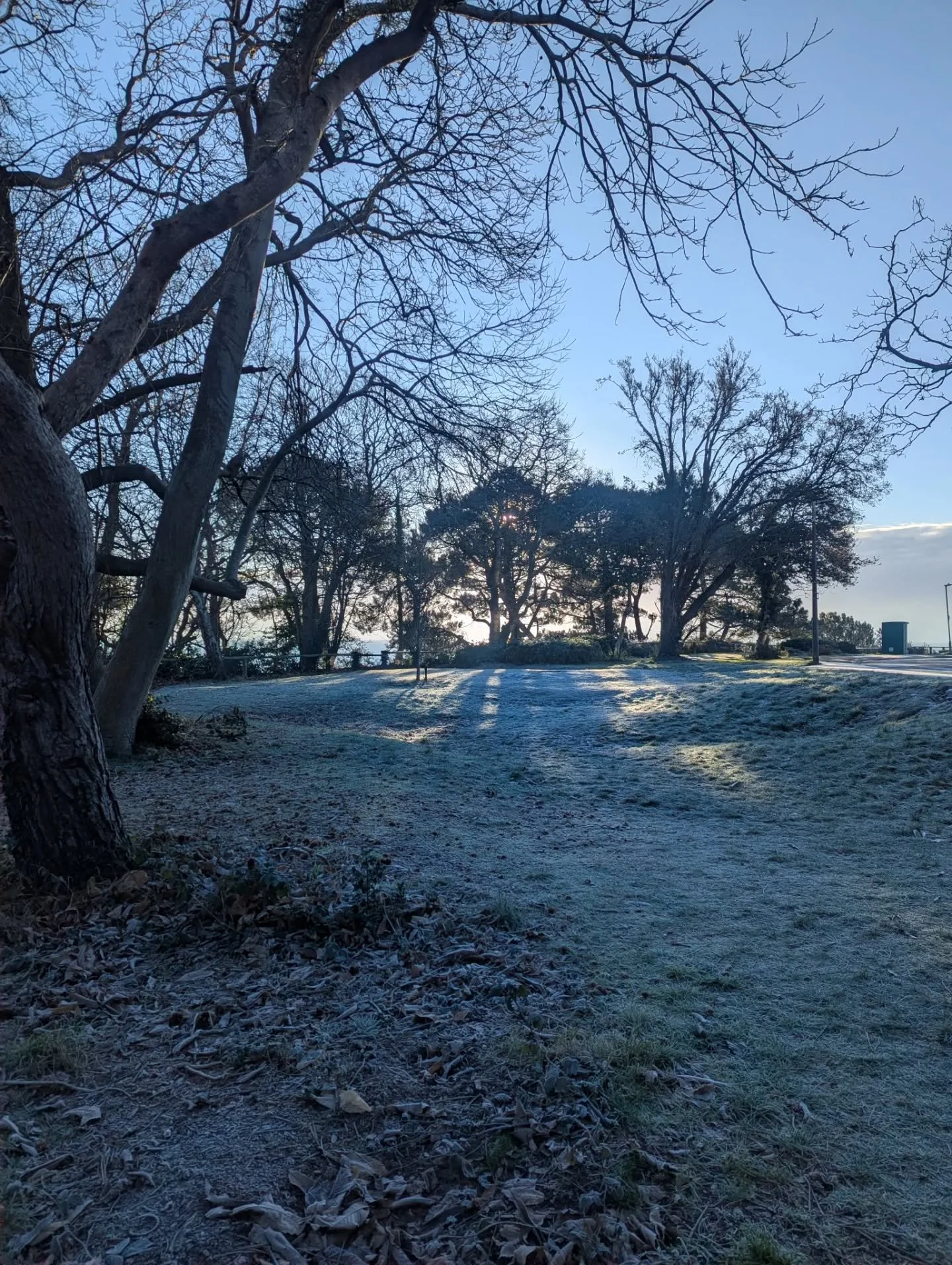 January so far. 🤍

If today was your first day back at work, well done on making it through. 

I tried really hard today to get some words together and they weren't flowing. It reminded me of an intention : to move at a pace that allows me to stay c