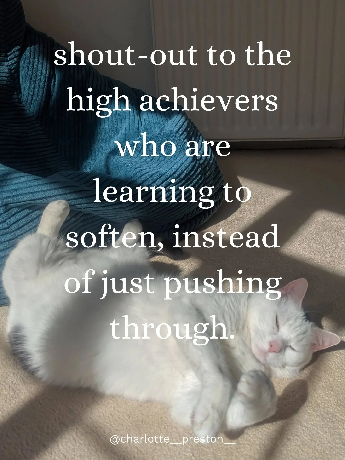 If you're on a journey of allowing your body to soften when you're not actually in crisis... I'm with you. After a lifetime of vigilance, this can take some practice over time. 🧡🐾

Cats are great teachers. Bailey models this for us here.