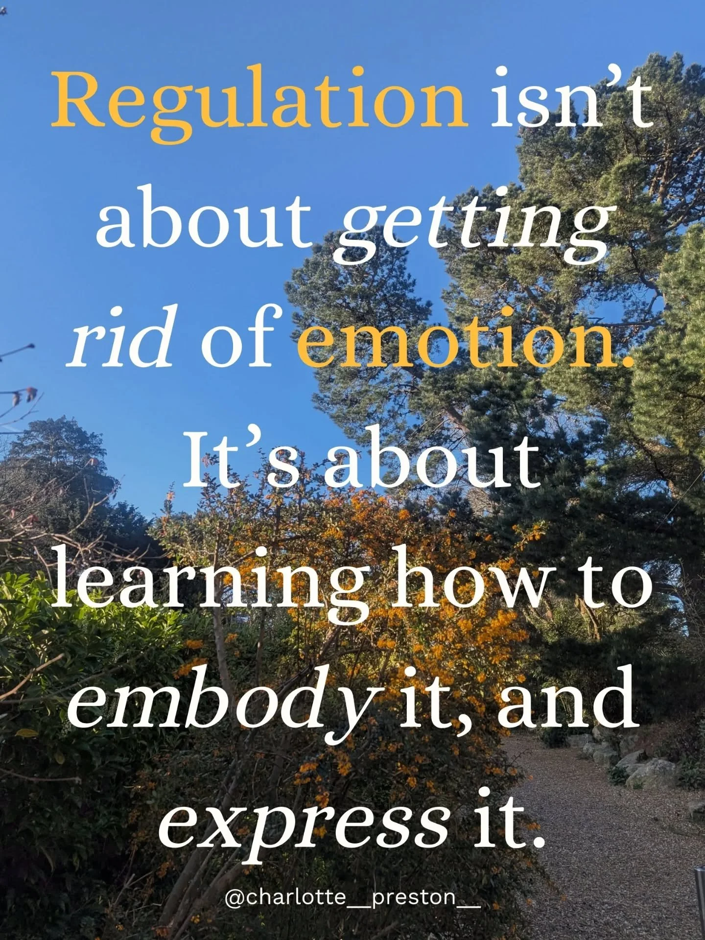 Learning to regulate your emotions isn&rsquo;t just about calming down.

It&rsquo;s about learning how to be with what you feel,  and allowing it to move, gradually, in a way that feels safe.

For many of us, especially if we&rsquo;ve experienced tra