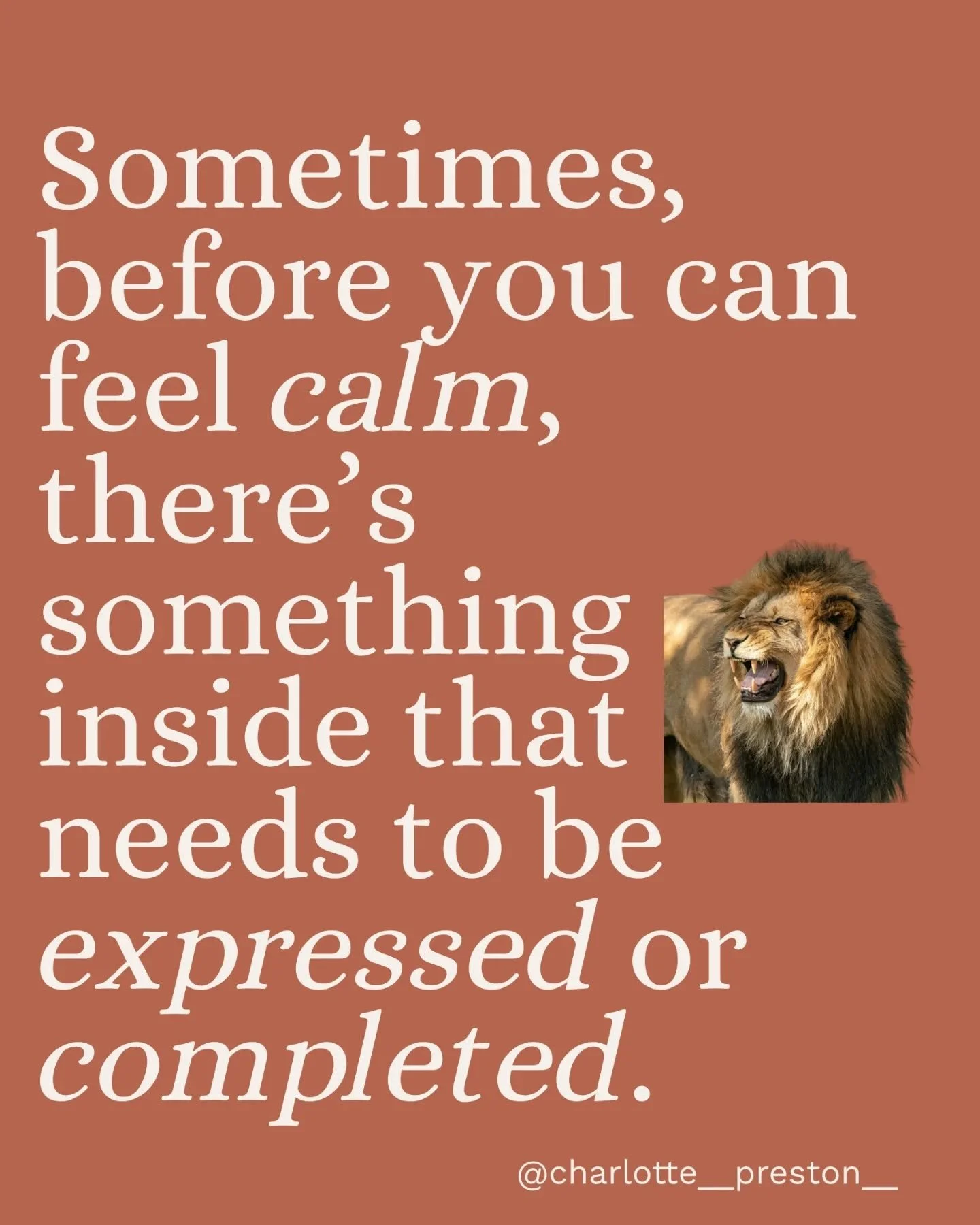 Sometimes, in trying to be calm,  we skip over the anger that still needs to be felt and expressed. But when we gently begin to acknowledge and express what was once squashed down, something in us can finally settle.

For me, learning to let anger ba