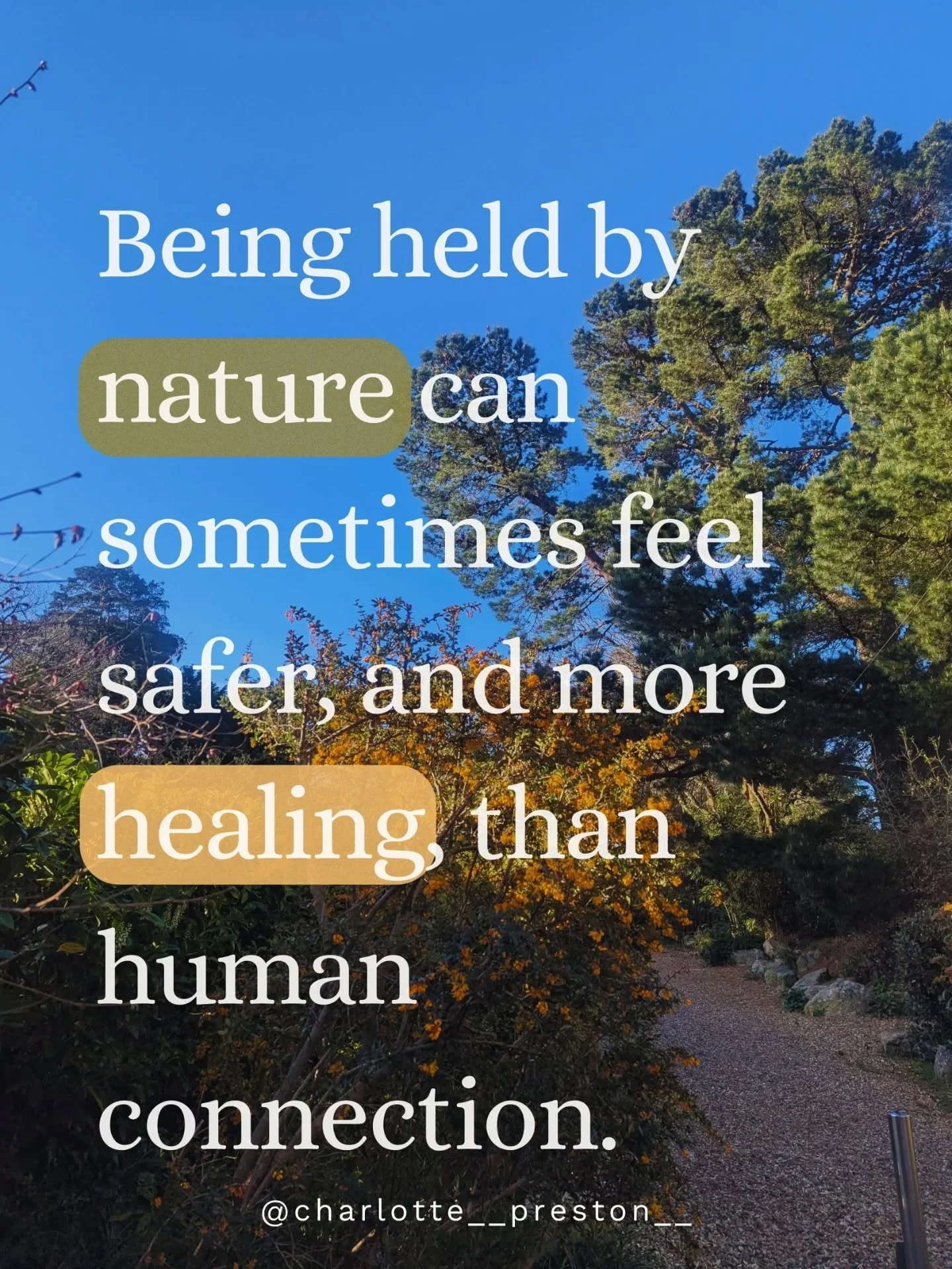 Retreat, 6th to 7th June in Canford Cliffs. Comment 'retreat' or see link in bio for further details 🌊🌳

Standing beneath a tree and feeling the ground hold your weight, listening to water move over stones., watching light shift through leaves, fee
