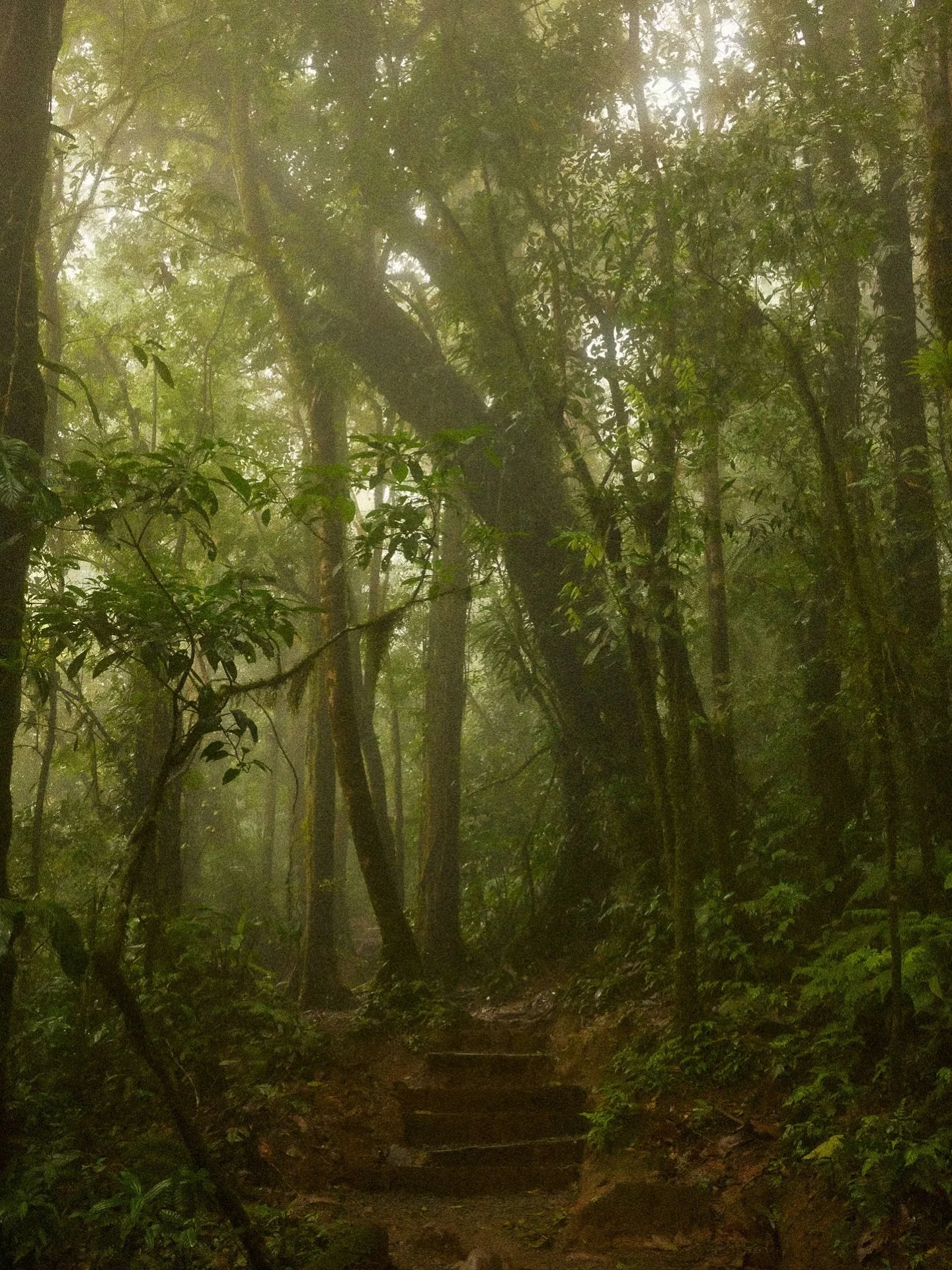 Never apologize for outgrowing people, places or dreams. &mdash; Sara Blakely