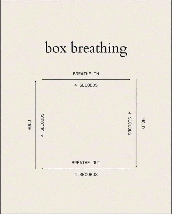 Simple does not mean ineffective.

Your breath is one of the fastest ways to shift your state.

Inhale
Hold
Exhale
Hold

Not to force calm
But to give your system a different signal

You are safe enough to slow down.

#breathwork #regulation #mindbod