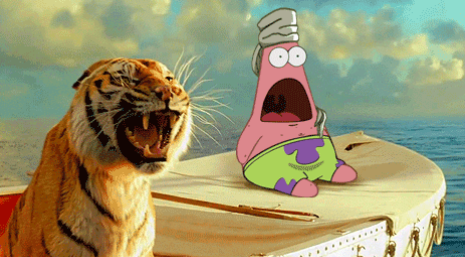 maintain your ship's steady course 🌊⚓