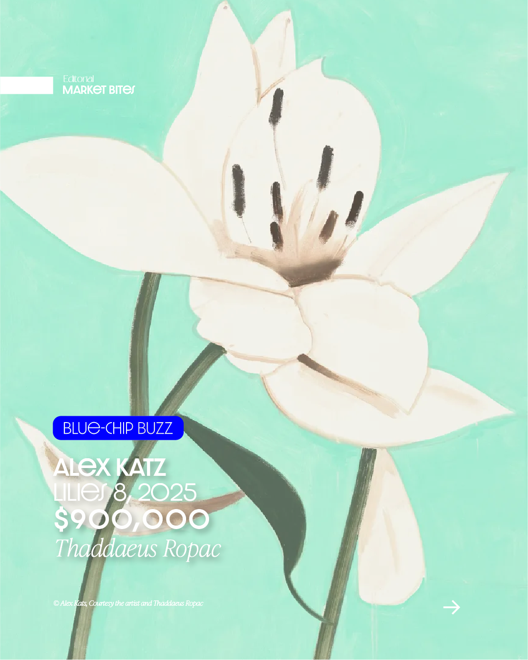 Frieze-Sales-07.png