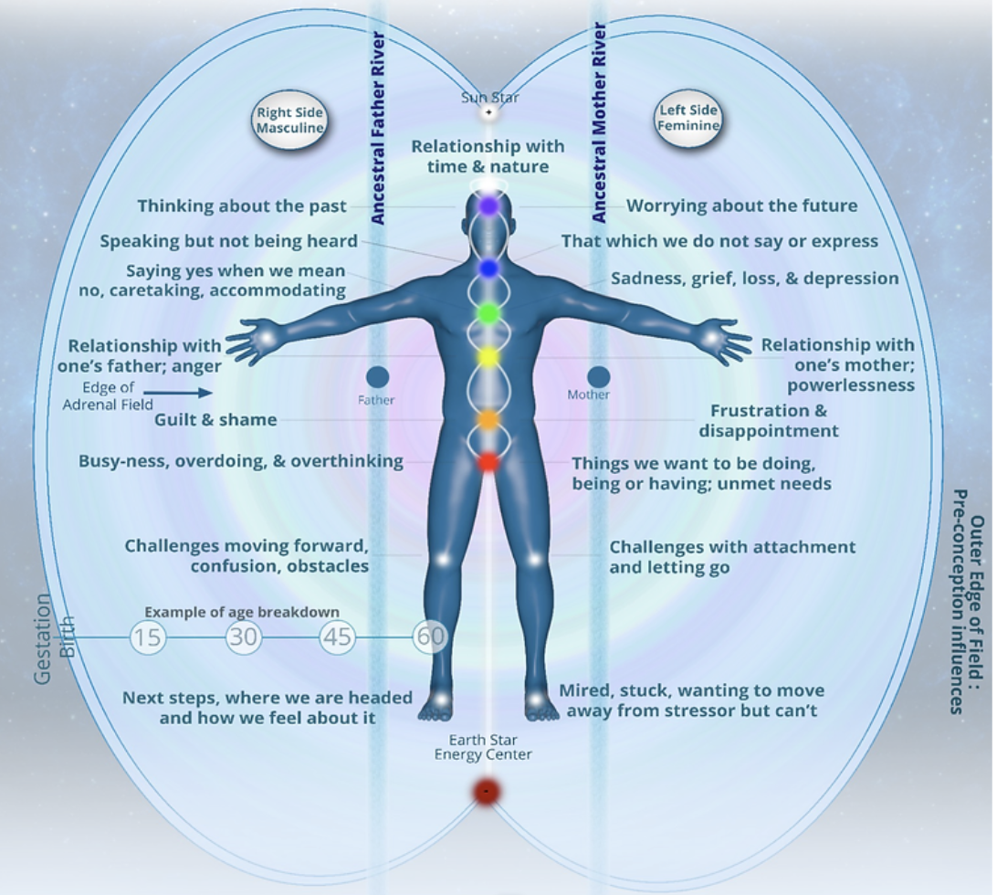 Diagram of human body showing emotional and psychological states related to age and life experiences, with levels from 15 to 60, and focus on relationships, stress, and personal growth.