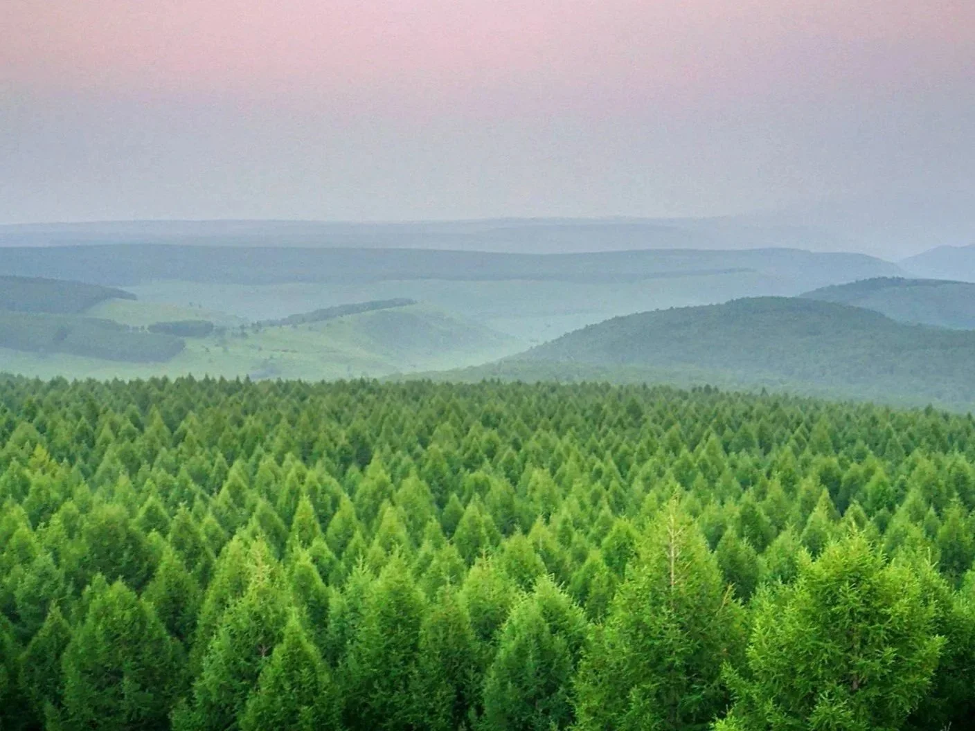 A panoramic view of a lush green forest with rolling hills and distant mountains under a pastel-colored sky.