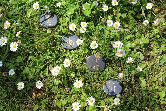 Dark stones with Asian characters written on them, scattered among small white daisies and green grass in a garden or outdoor area.