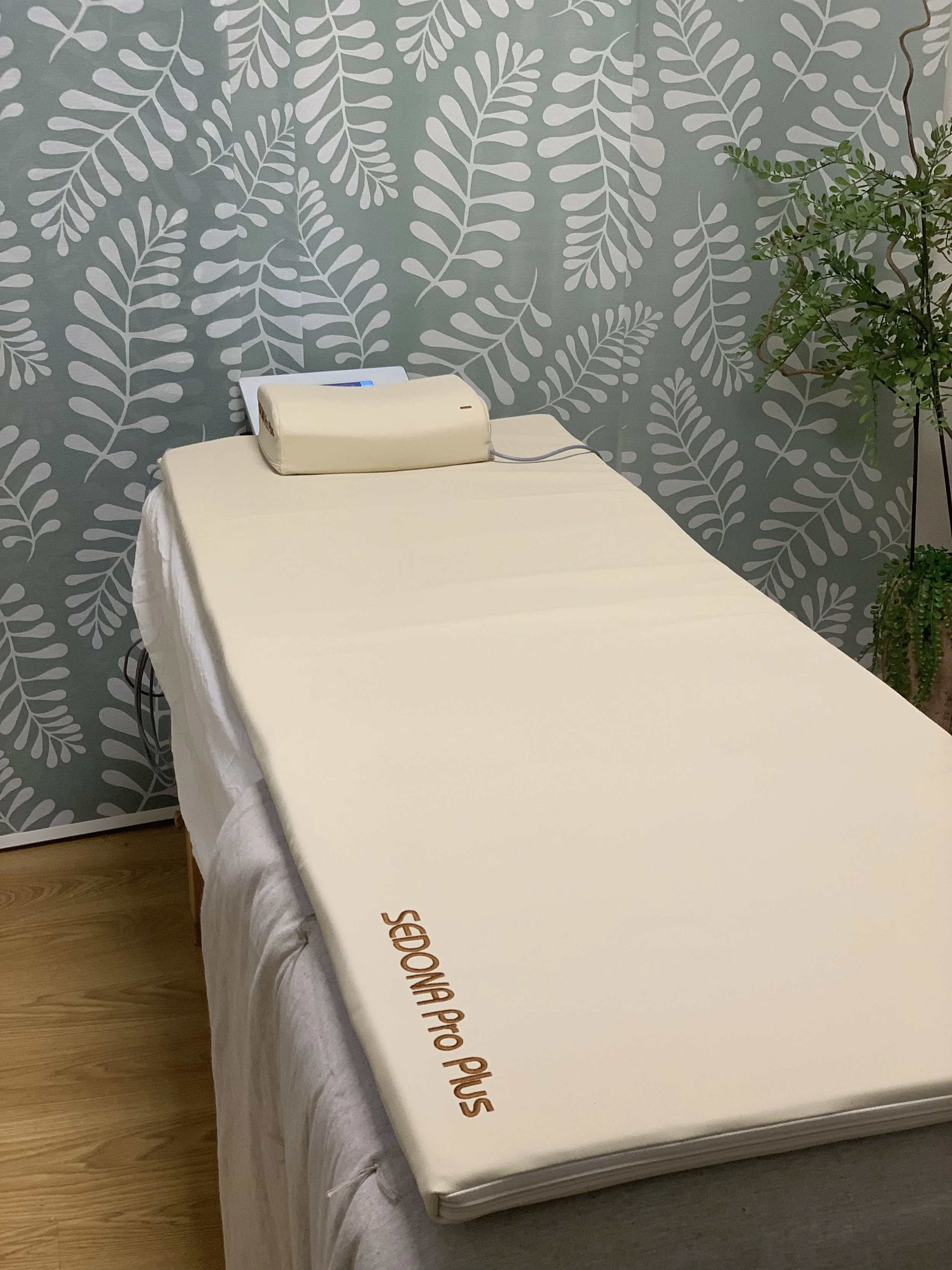 A massage or therapy table with a white foam pillow and a heating pad, in a room with leafy patterned wallpaper and a potted plant in the corner.