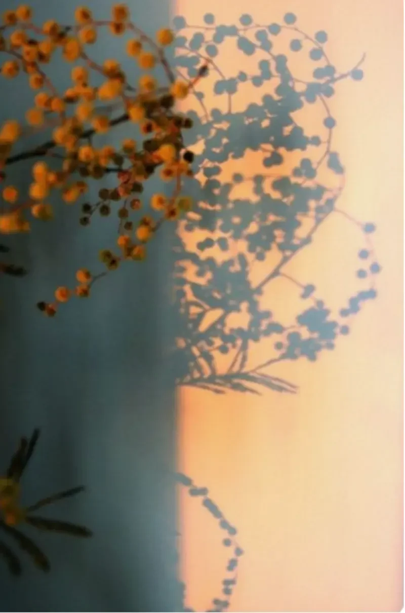 A still life composition of a branch with yellowish-orange flowers and a silhouette of a palm tree against a softly colored sky that transitions from blue to orange.