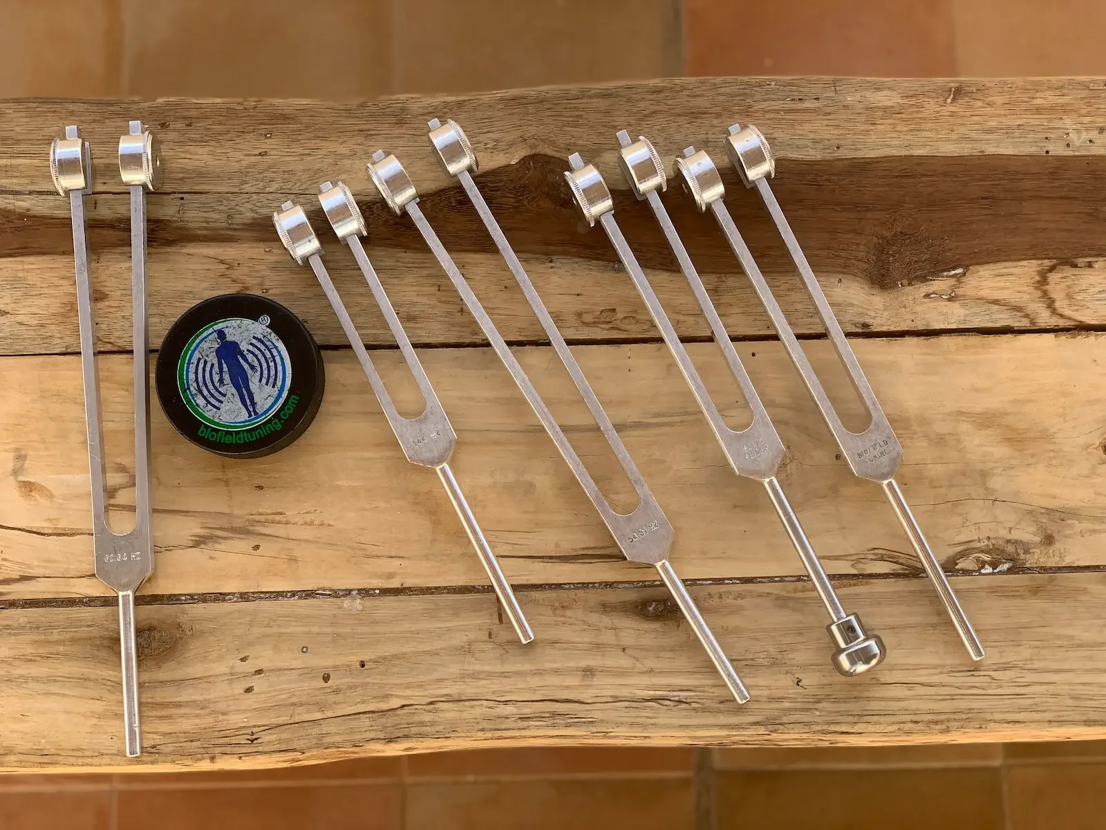 Set of tuning forks of various sizes placed on a wooden surface with a round black container with a logo.