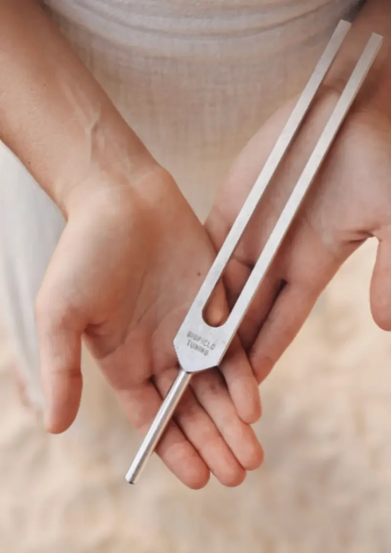 Person holding a metal tuning fork with a long slit, labeled "BUFFALO TUNING".
