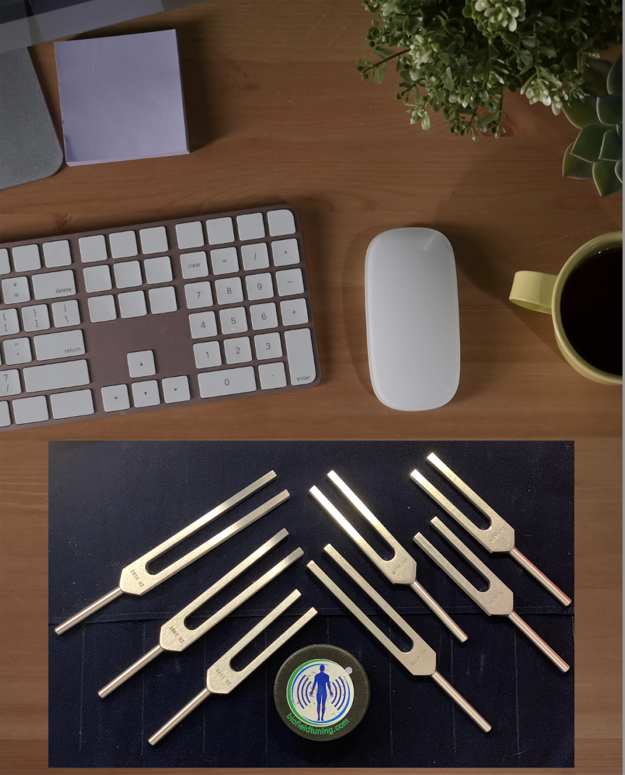 Desk with a white computer keyboard, a white mouse, a yellow mug filled with coffee, a small green potted plant, a notepad with a purple cover, and a black mat holding several tuning forks and a small circular container with a logo of a human figure with sound waves around it.