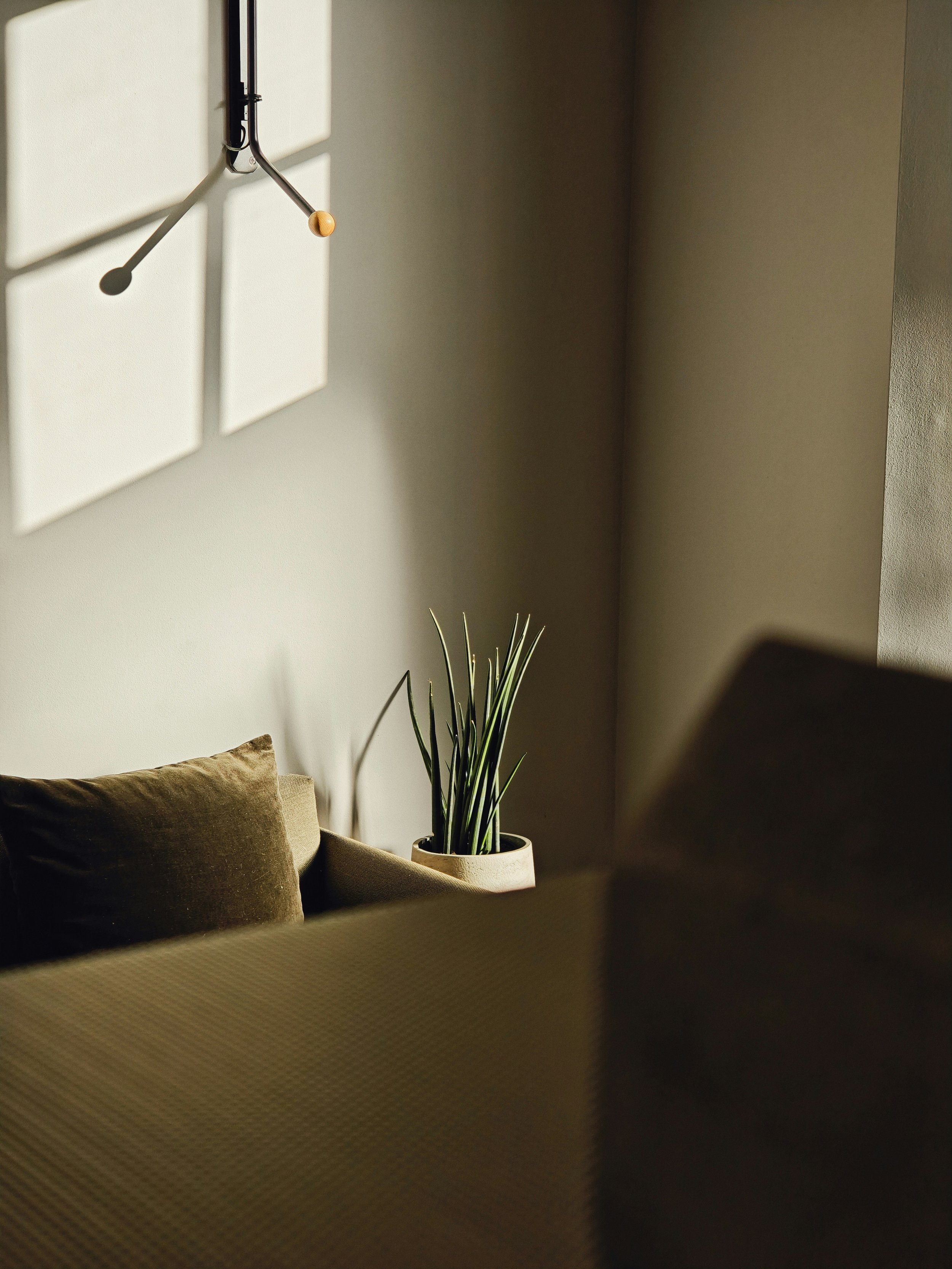 Quick fix colour service  interior design