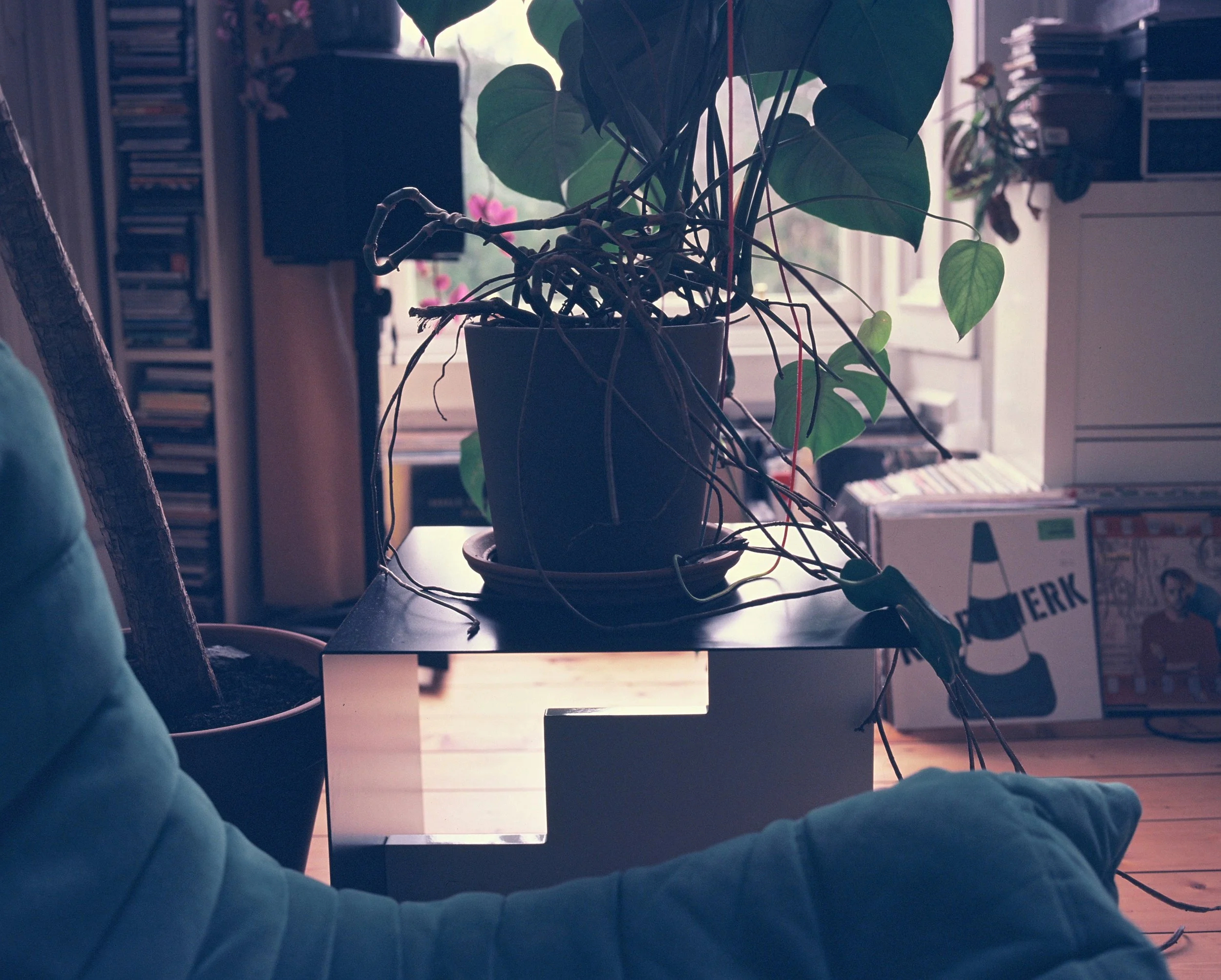 AT HOME with Luke Fowler &amp; Corin Sworn