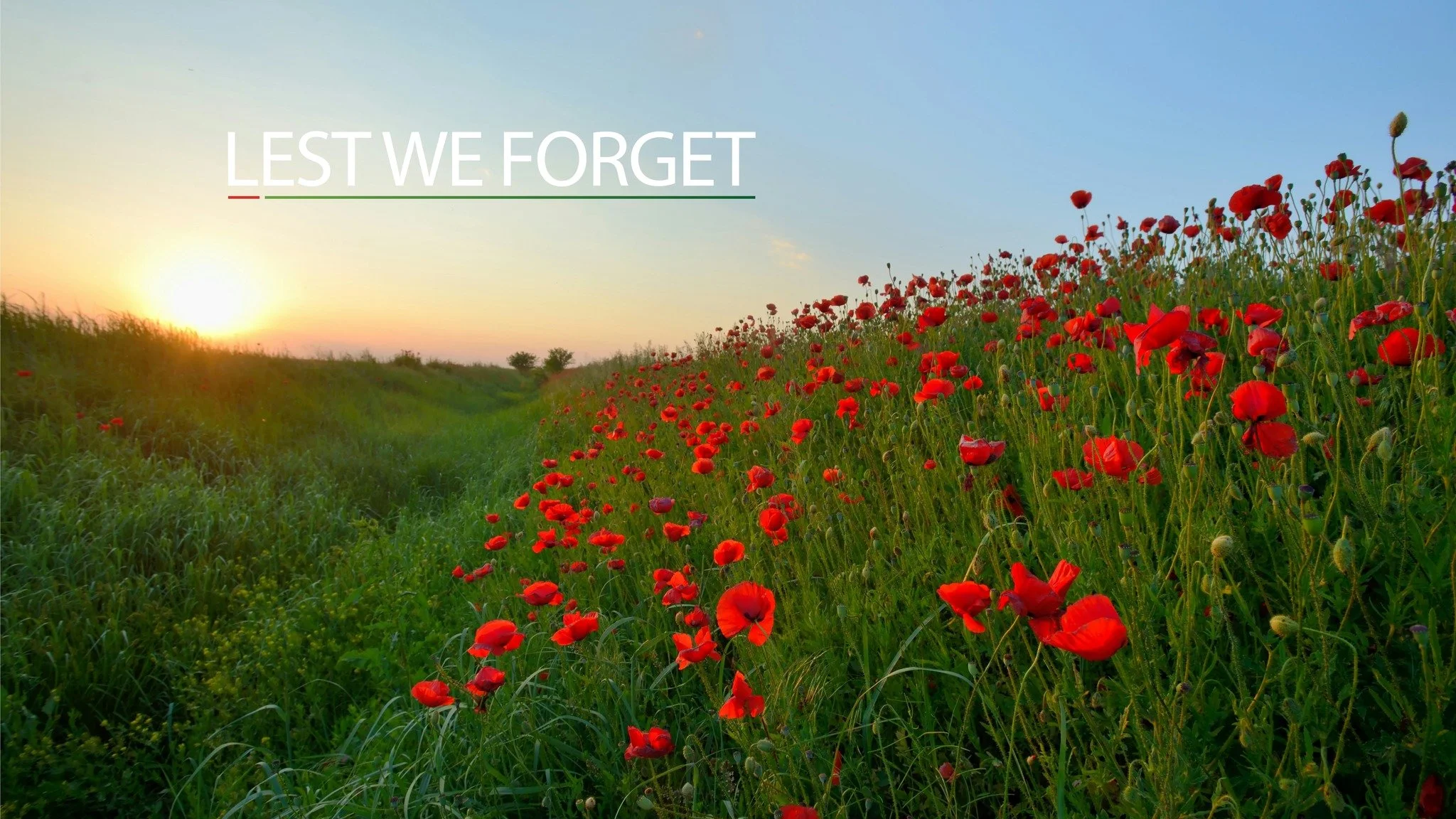 We pause to honour the courage, sacrifice, and service of those who gave us this peace. Lest we forget.

#RemembranceDay #LestWeForget #CanadaRemembers