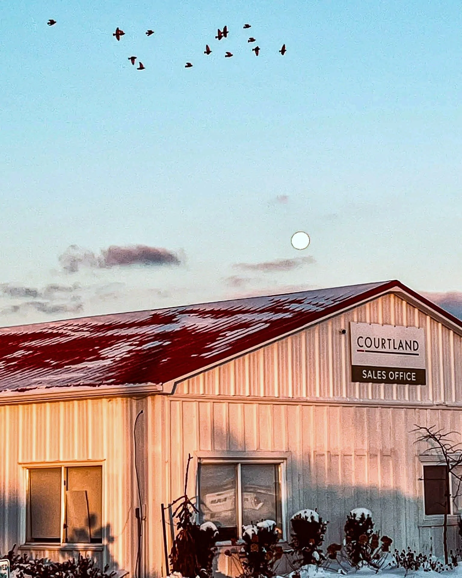 Winter mornings at the Courtland sales office ❄️
Moon still up, birds on the move, fresh snow on the roof &mdash; we&rsquo;re here and ready for whatever this white season brings.

#Courtland #WhiteSeason #WinterMorning #SnowDay #Tillsonburg