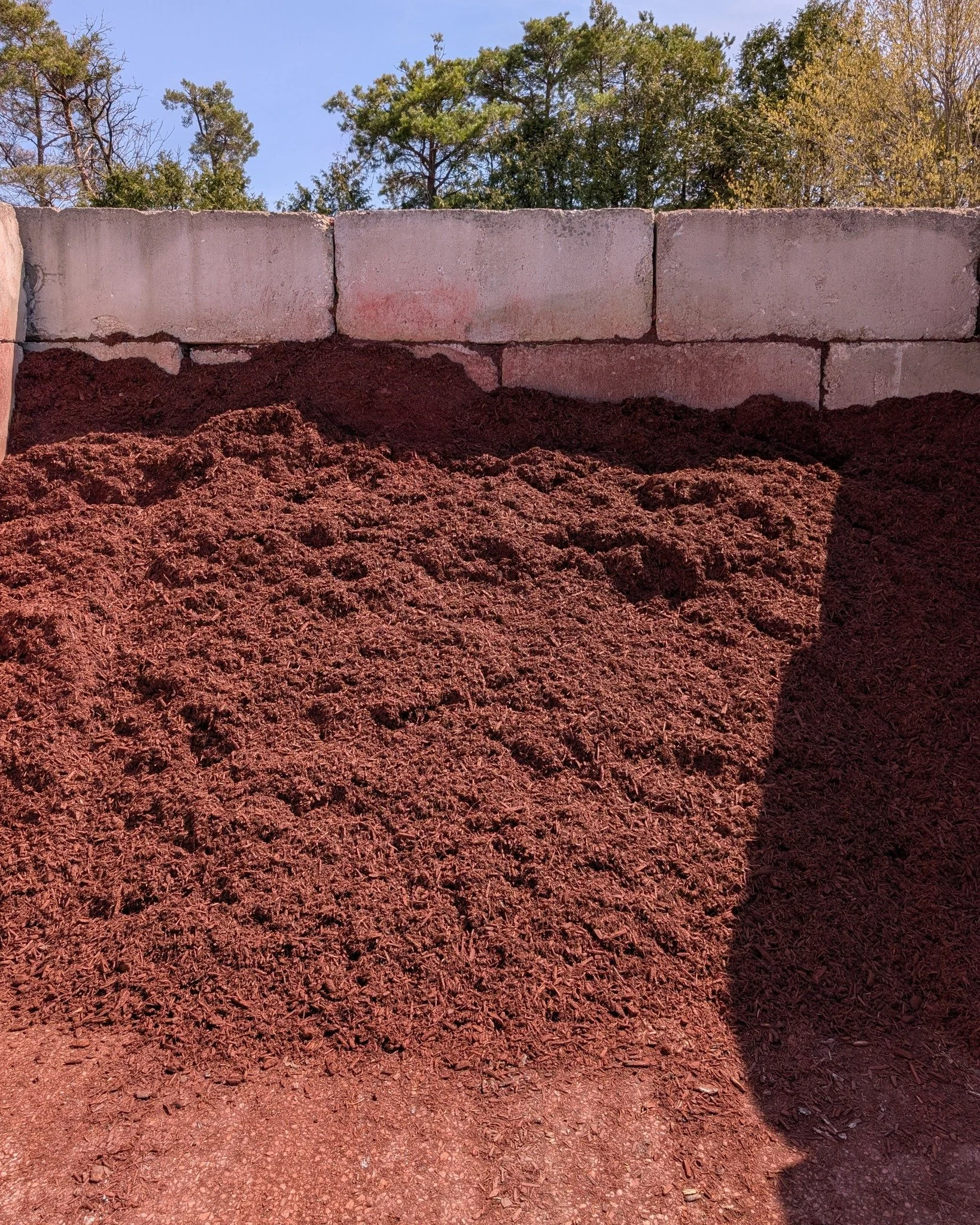 Red Devil Mulch Sale

Our leftover Red Devil Mulch from last fall is normally $65/yard, but right now it&rsquo;s just $40/yard.

We&rsquo;ve got approximately 10 yards left at our Tillsonburg Stone &amp; Bulk Supply store on Hwy 19. Get it while it l
