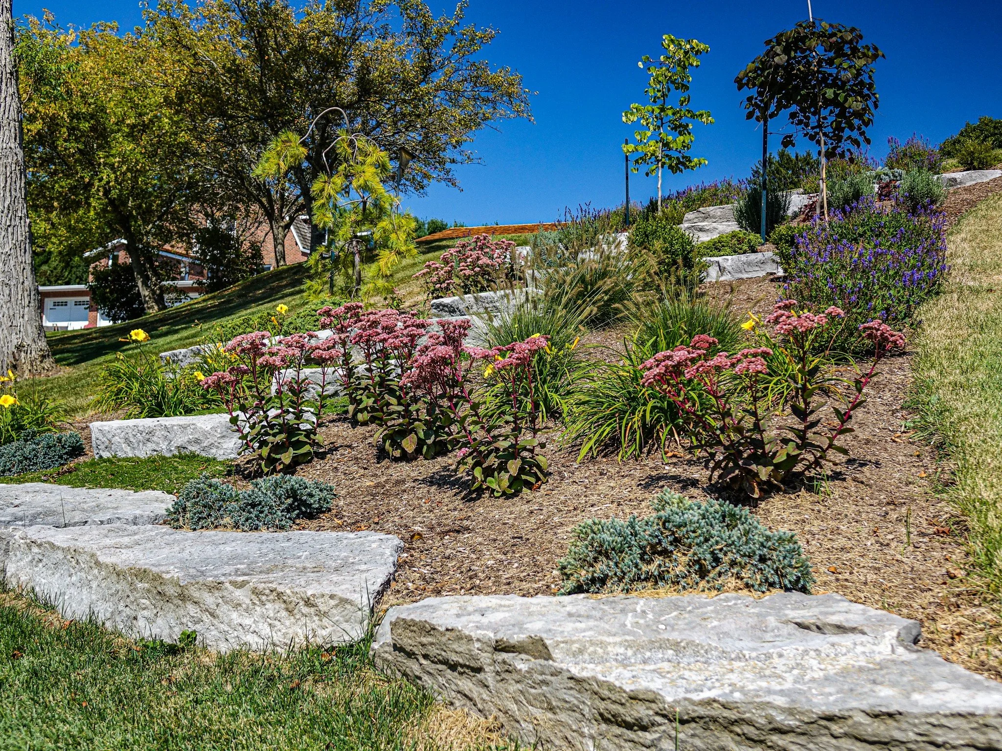 Natural stone, layered planting, and a clean layout can completely change the look of a slope. Small details like these go a long way in making a property feel more finished and intentional.

#LandscapeDesign #NaturalStone #PlantingDesign #LandscapeC