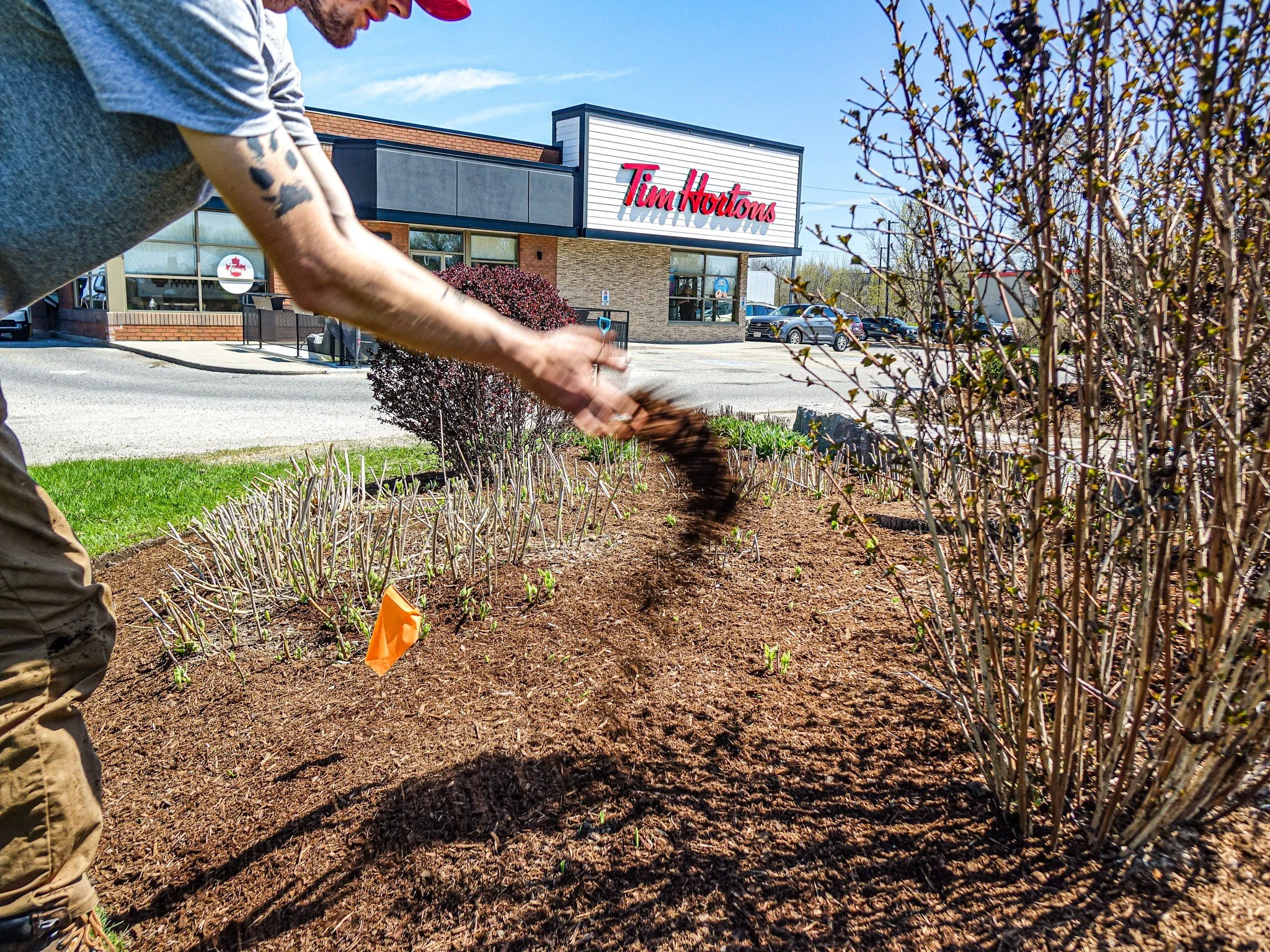 Our team recently freshened up one of the Tim Hortons locations here in Tillsonburg with some mulch, trimming, and general bed clean-up to get the property looking sharp for the season ahead.

It&rsquo;s always nice to see a space come back to life i