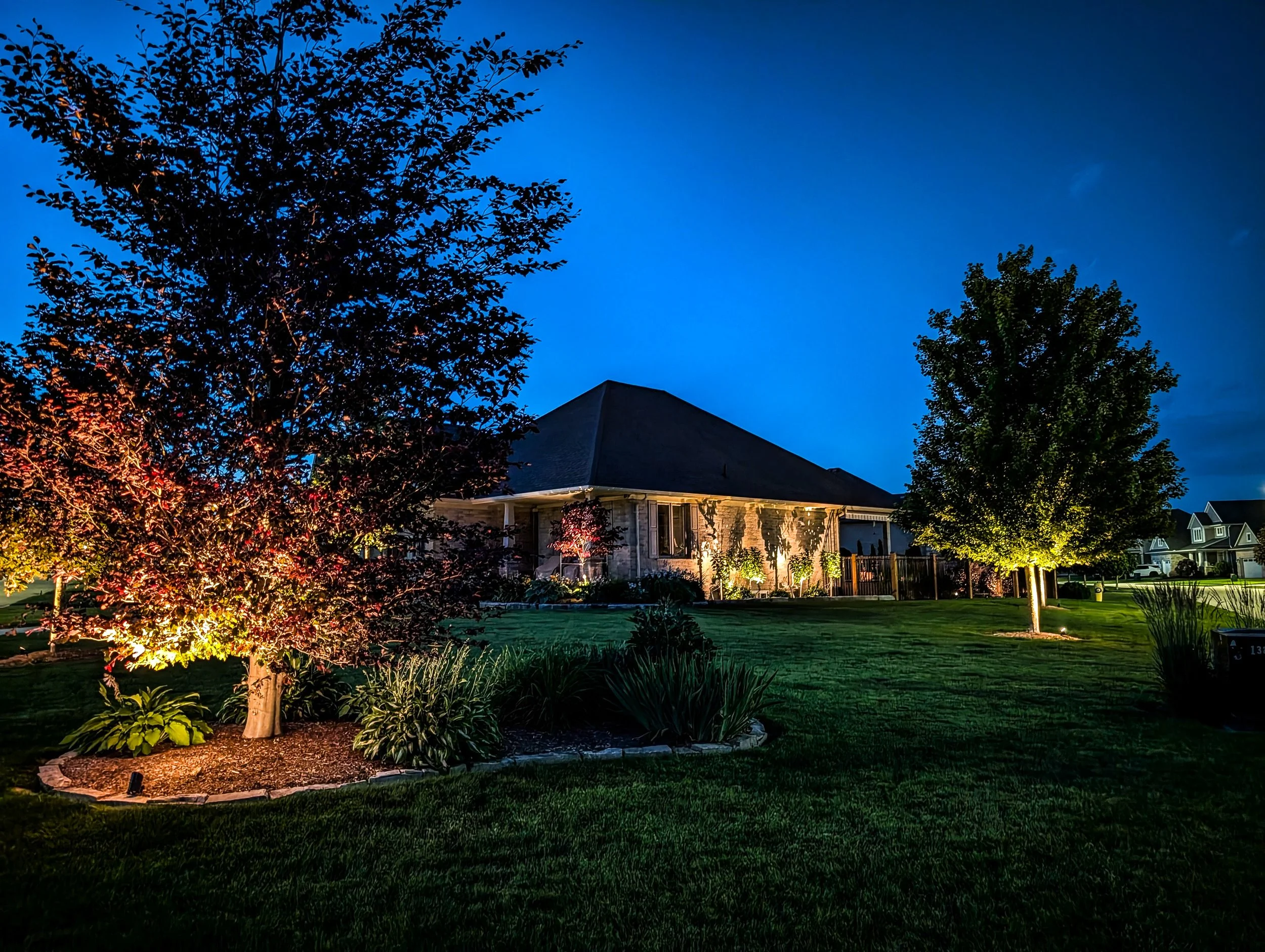 Nighttime view of a residential backyard with trees, shrubs, and a house illuminated by outdoor lighting.