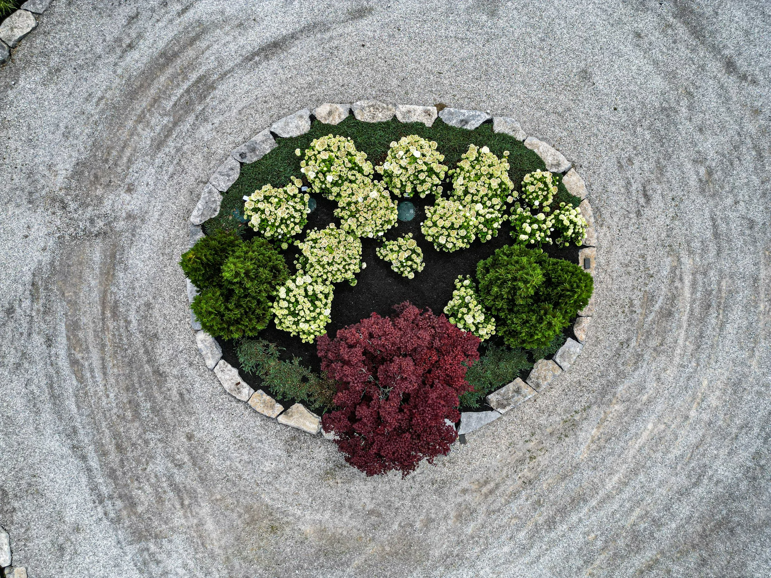 DJI_0097.jpg