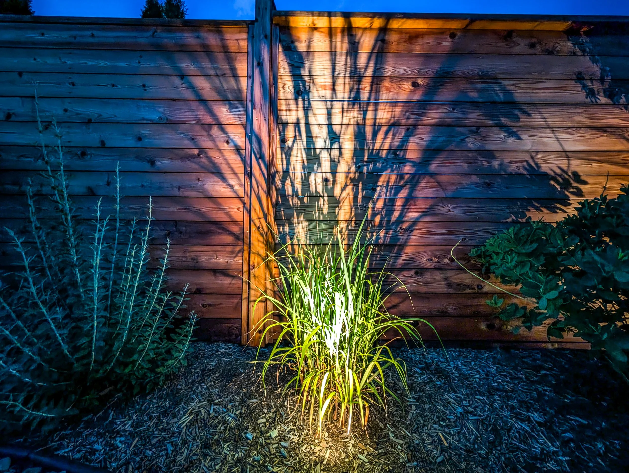 A wooden fence with decorative lighting creates shadows of plants projected onto it, illuminated from below in the evening or night.