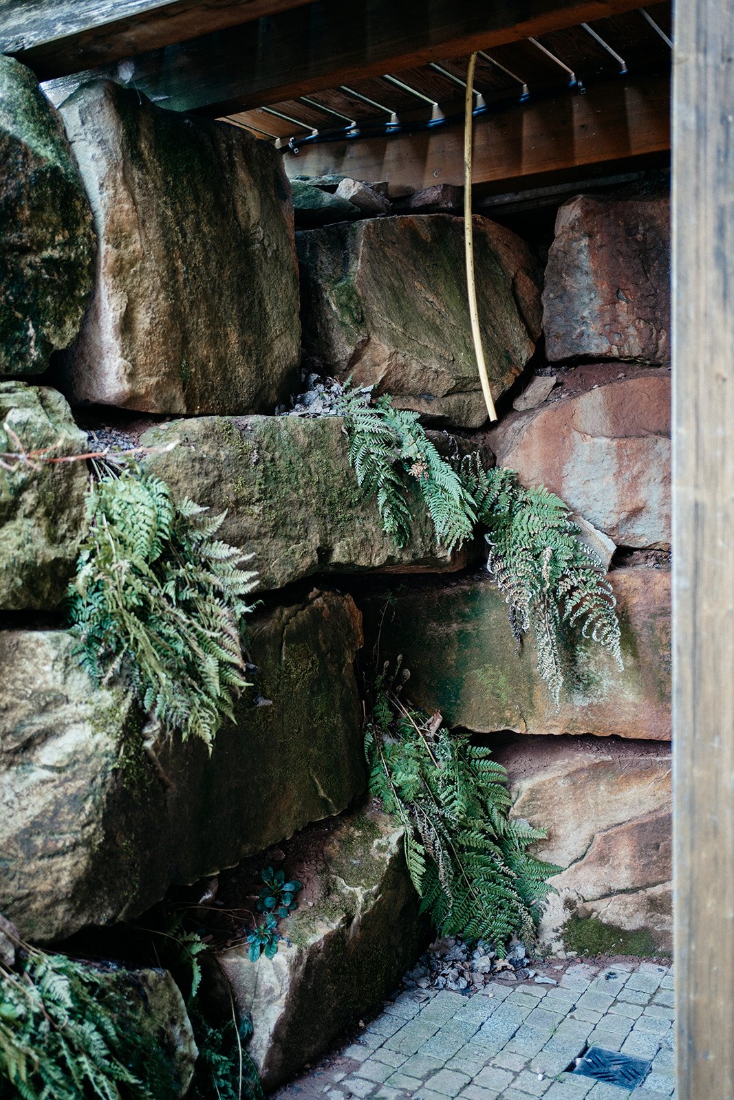 Julia_Smith_Photography_Auszeit am Küppel-17.jpg