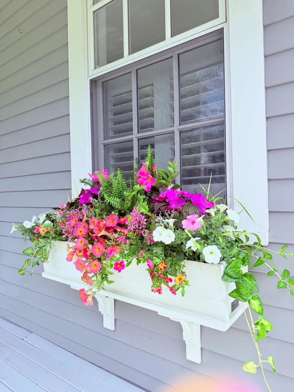2026_WindowBoxes_Gallery_Photo_05.jpg