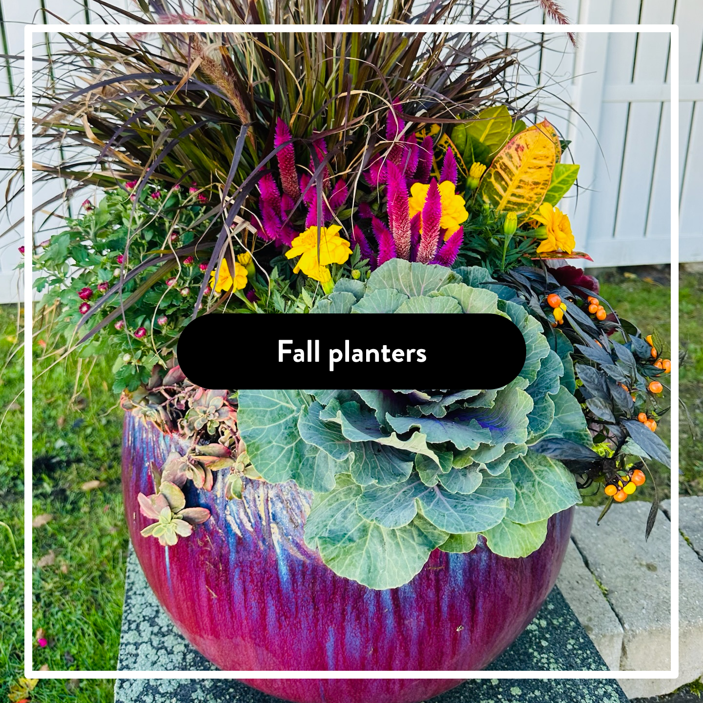 Button_Gallery_Fall.png