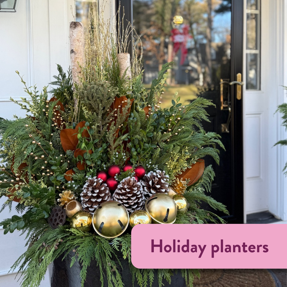 Hero_Gallery_Holiday_1.png