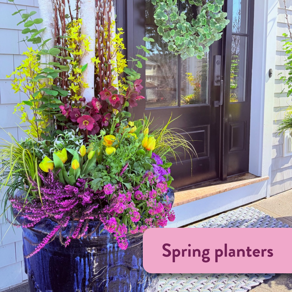 Spring planters gallery