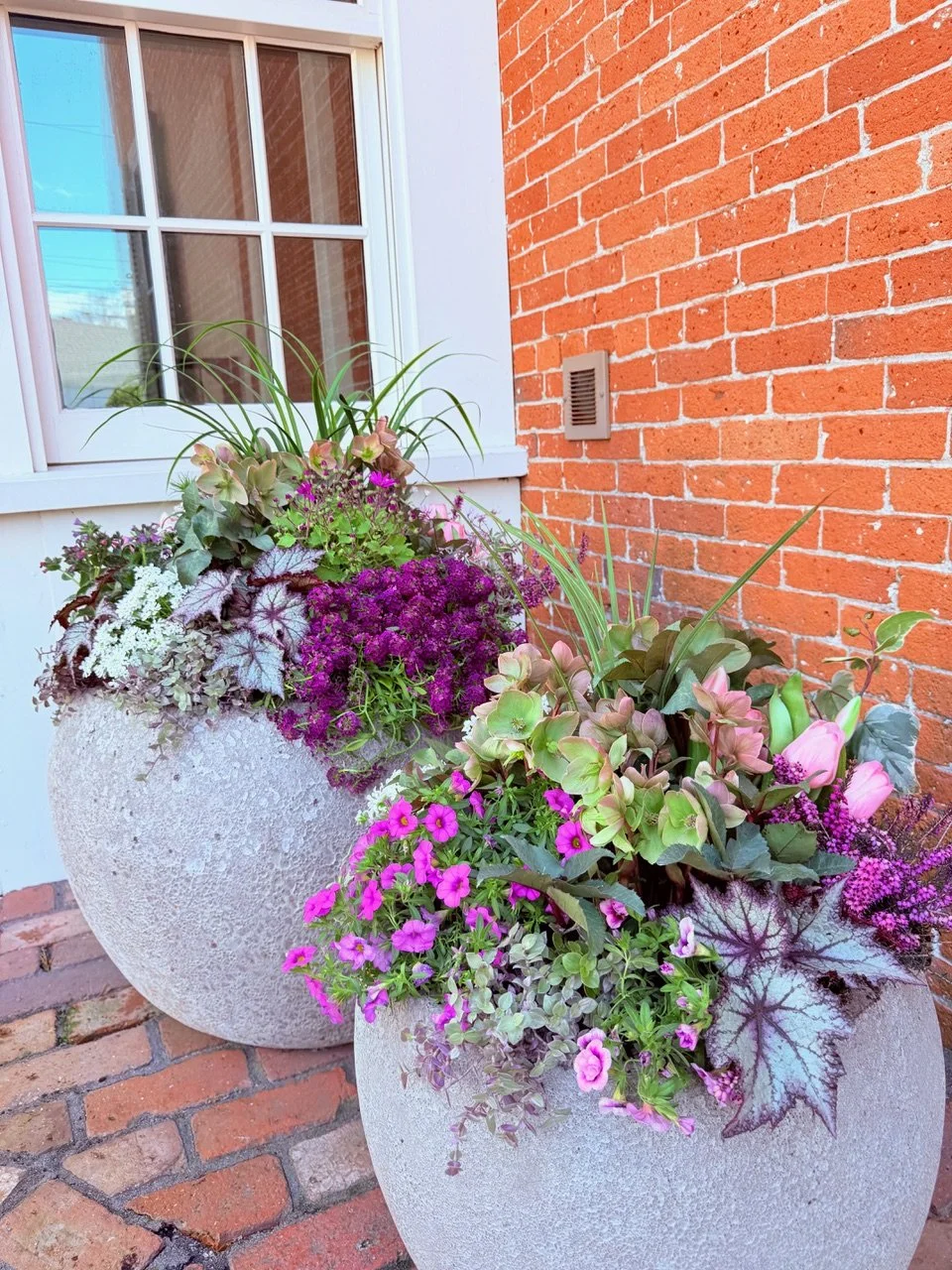 2026_Spring_Gallery_Photo_26.jpeg