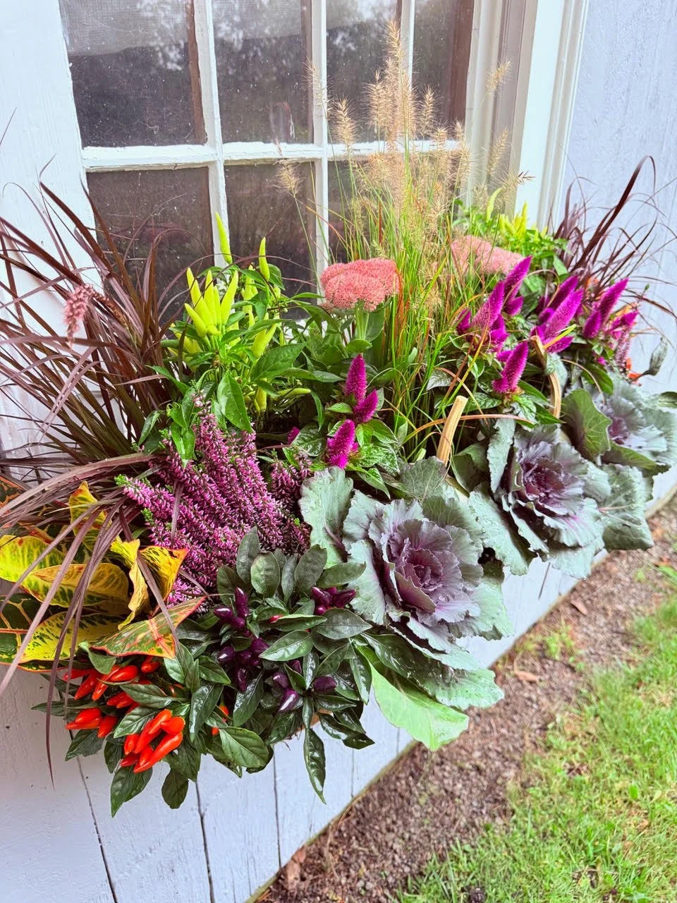 2026_WindowBoxes_Gallery_Photo_17.jpg
