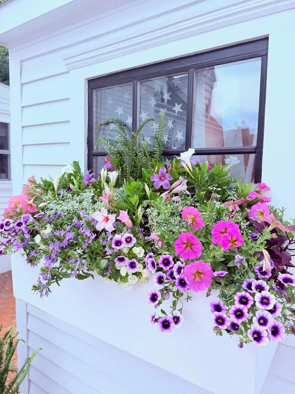 2026_WindowBoxes_Gallery_Photo_07.jpg