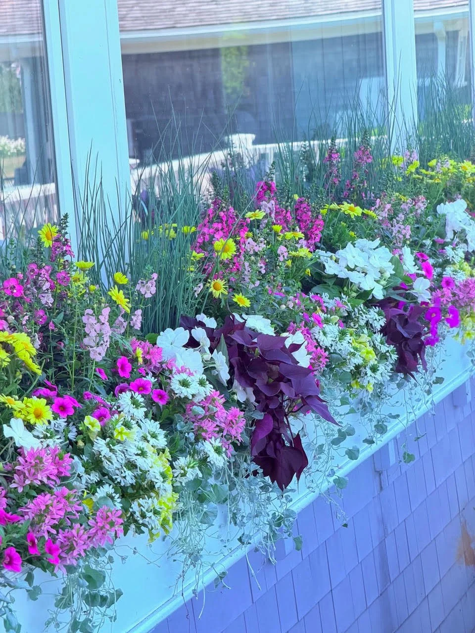 2026_WindowBoxes_Gallery_Photo_03.jpg