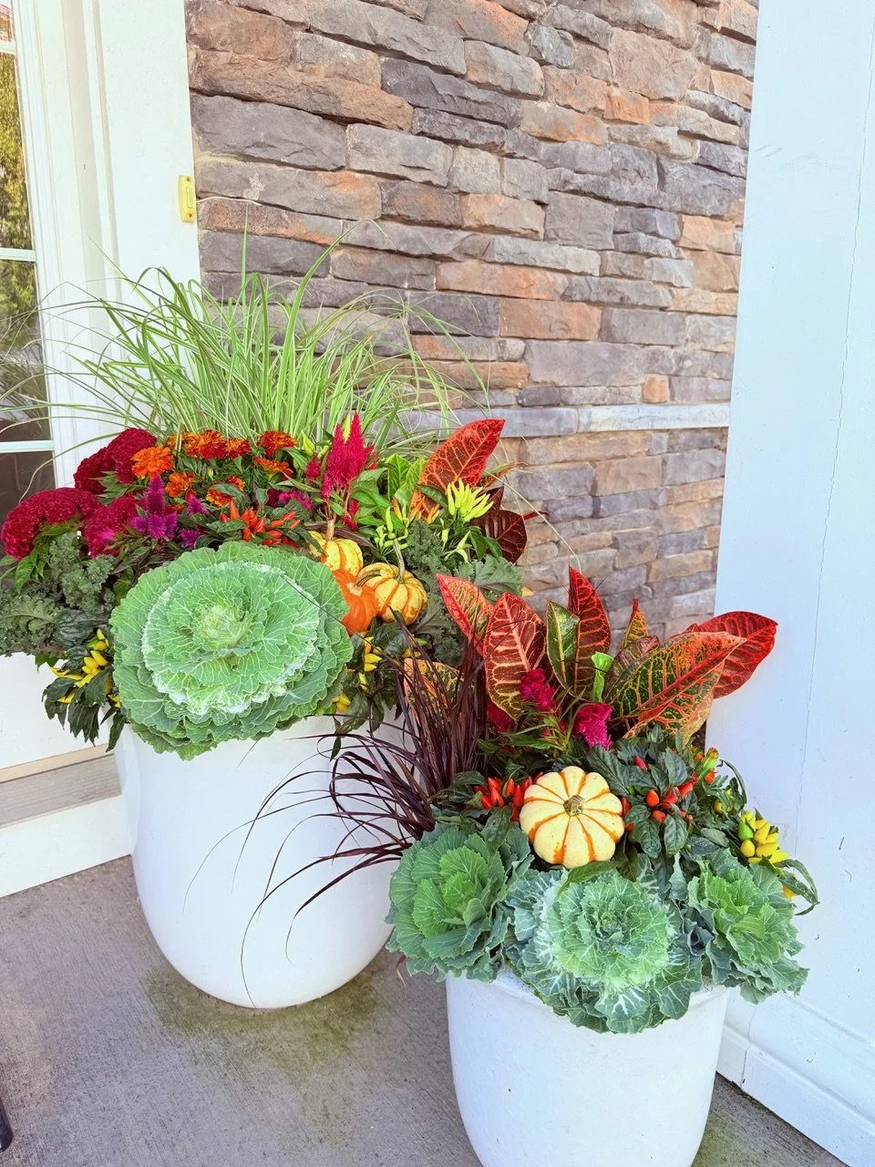 2026_Fall_Gallery_Photo_15.jpeg