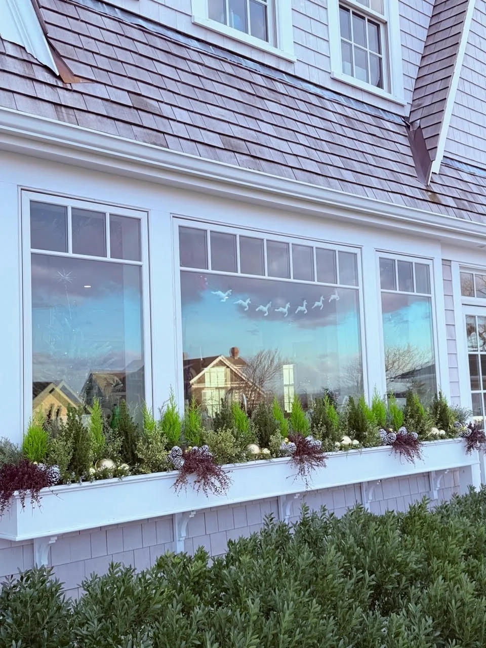 2026_WindowBoxes_Gallery_Photo_18.jpg