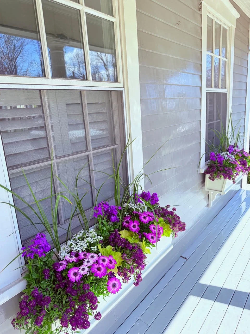 2026_WindowBoxes_Gallery_Photo_09.jpg