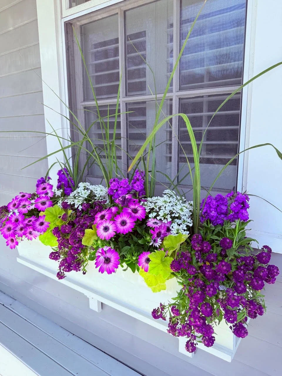 2026_WindowBoxes_Gallery_Photo_10.jpg