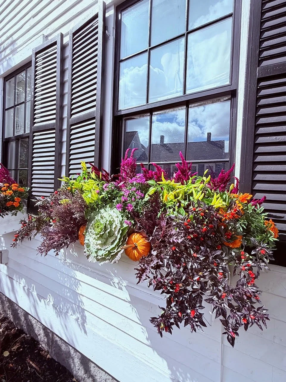 2026_WindowBoxes_Gallery_Photo_15.jpg