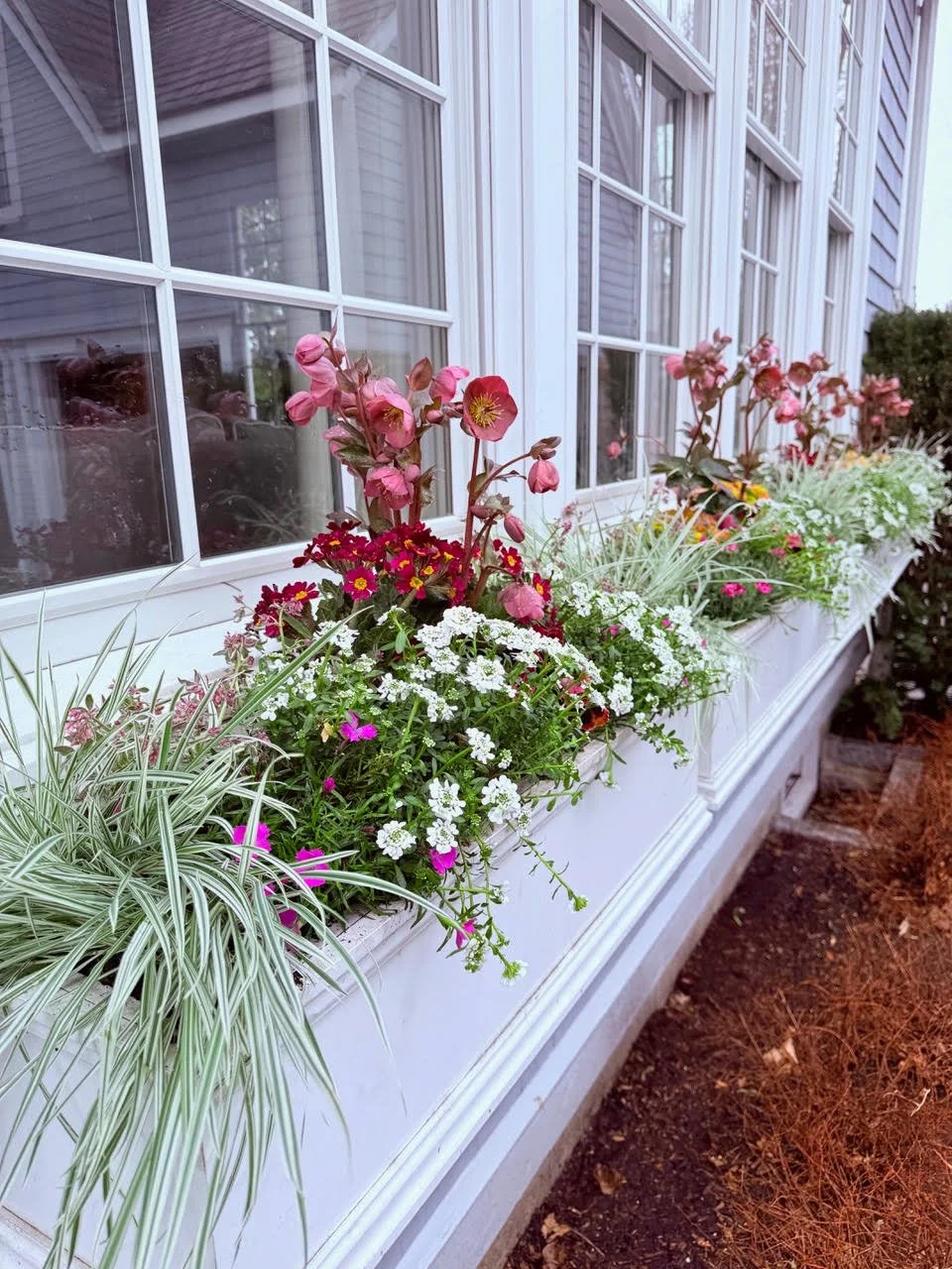 2026_WindowBoxes_Gallery_Photo_14.jpg