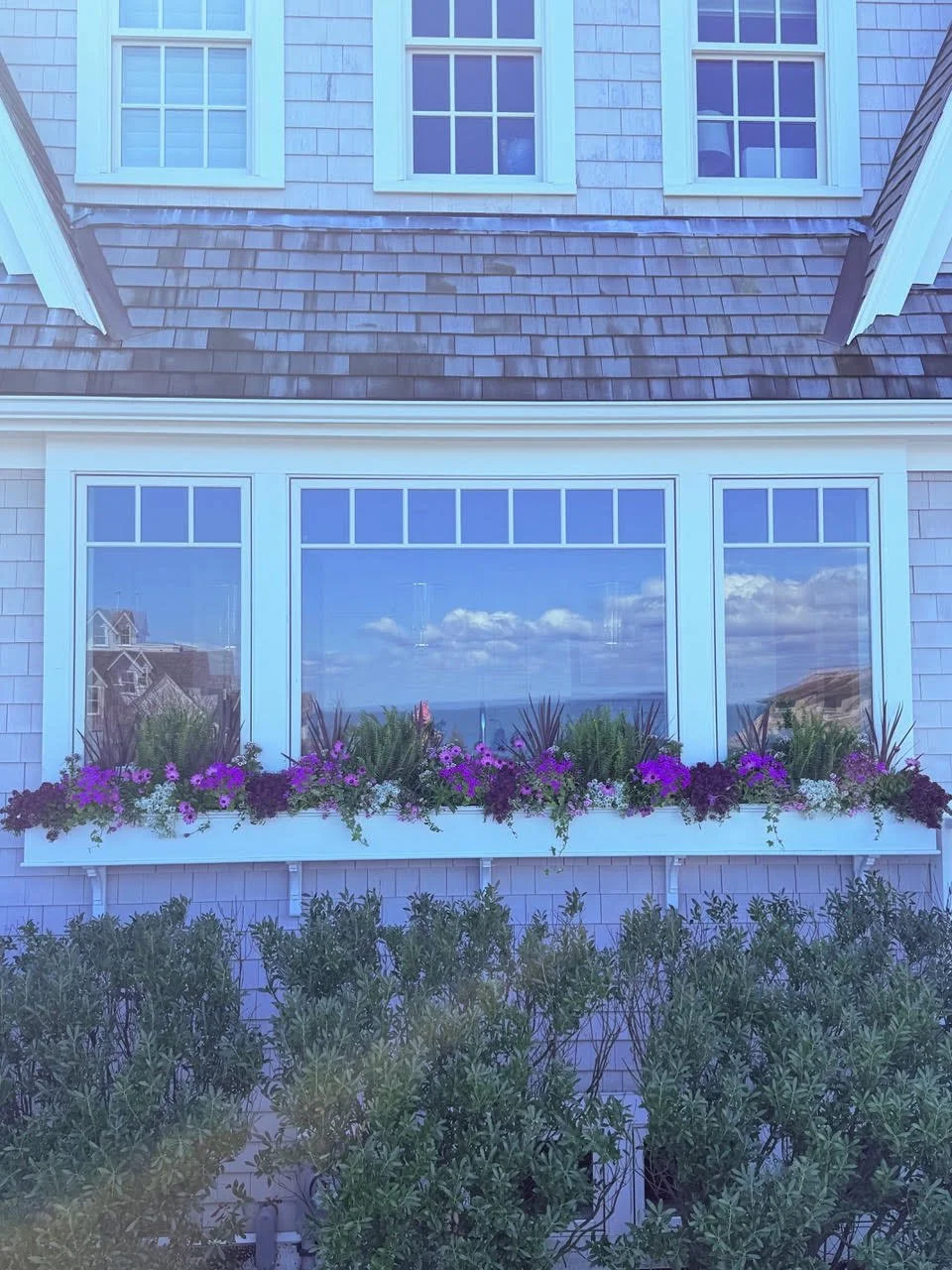 2026_WindowBoxes_Gallery_Photo_13.jpg