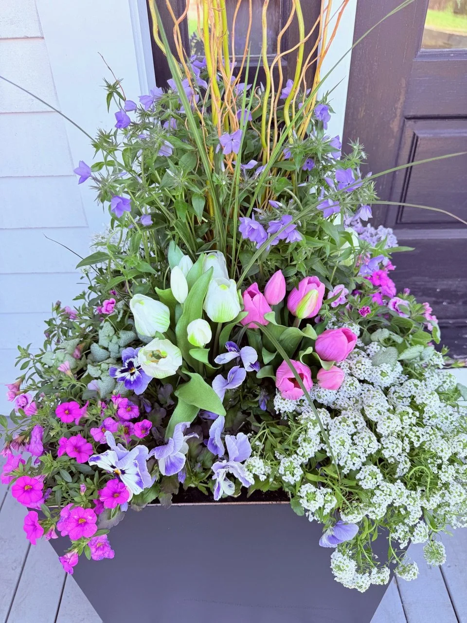 2026_Spring_Gallery_Photo_25.jpeg
