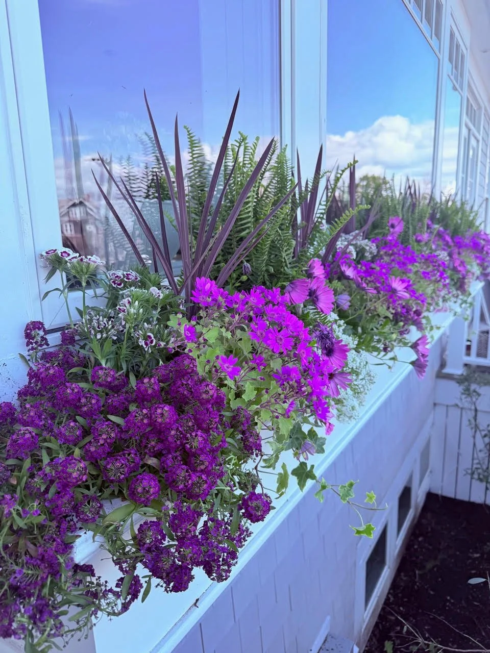2026_WindowBoxes_Gallery_Photo_12.jpg