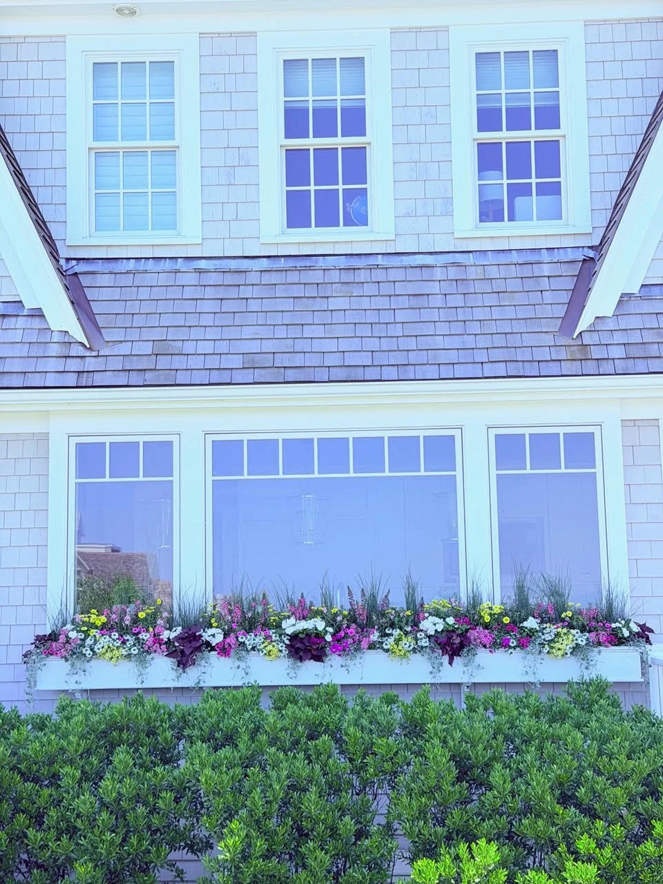 2026_WindowBoxes_Gallery_Photo_01.jpg