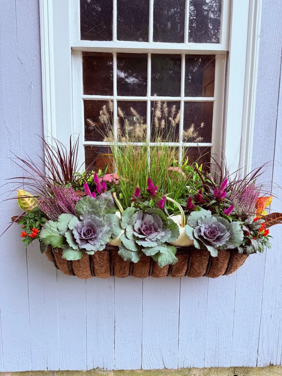 2026_WindowBoxes_Gallery_Photo_16.jpg