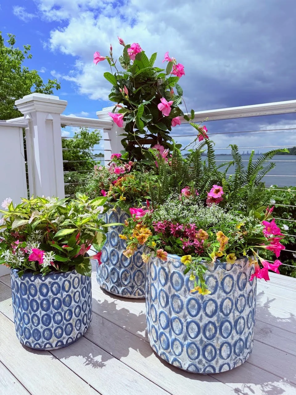 2026_Summer_Gallery_Photo_014.jpg