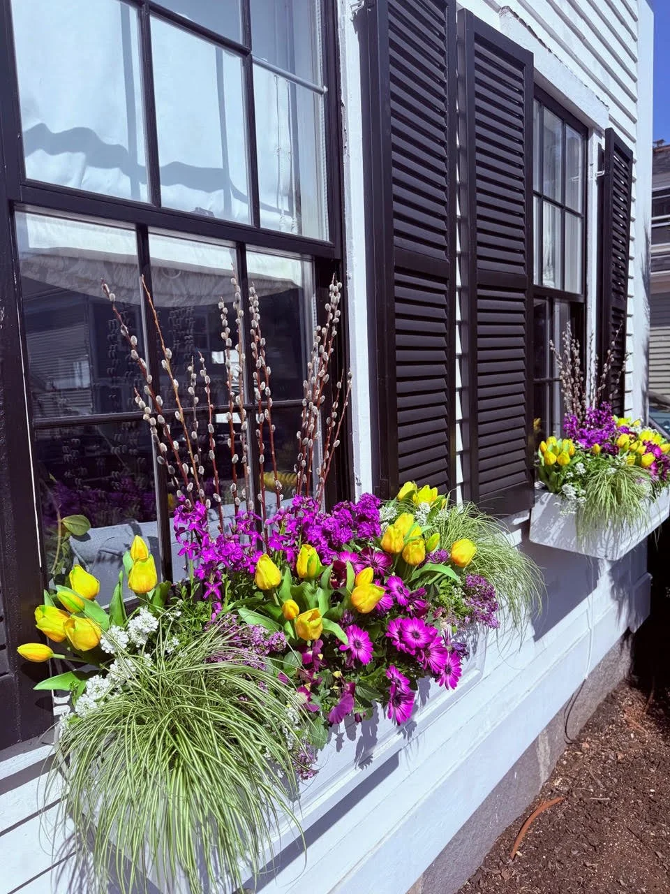 2026_WindowBoxes_Gallery_Photo_08.jpg